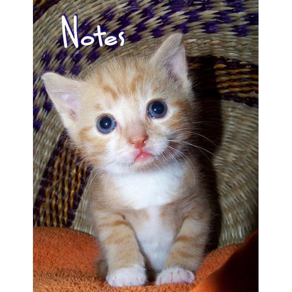 Notes: Kitten (Paperback)