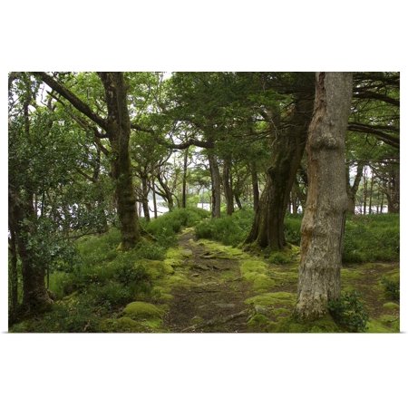 Great Big Canvas Ireland Kerry Killarney National Park