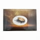 thumbnail image 3 of Magnetic Eyelashes with 2 Pairs Artificial Fiber Magnets Magnetic with Eyelash Curler, 3 of 5