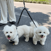 Double Dog Leash for Walking 2 Dogs - Tangle-Free 360° Swivel & Shock-Absorbing Bungee(Black)