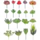 thumbnail image 4 of 18 piezas de suculentas artificiales no tocadas seleccionas una planta suculenta falsa en tallos verdes, 4 of 7
