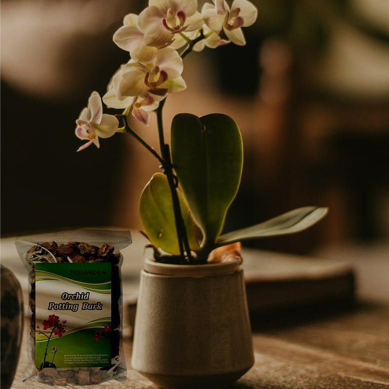 期間限定お値下げ！激レア！　Wild Orchids of Myanmar 期間限定お値下げ！激レア！ Wild Orchids of Myanmar - メルカリ