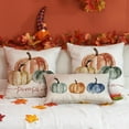 thumbnail image 6 of Fall Pillow Covers 12x20 Inch Fall Thanksgiving Orange Watercolor Lines Pumpkins Lumbar Autumn Pillow Covers Polyester Fall Decoration for Home Couch Y71C12, 6 of 6