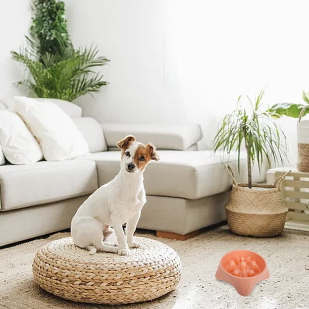 Comedero Lento Para Perros Comedero Lento Para Perros Alimentación Para Perros Malestar Comedero Funcional Para Perros Comedero Para Mascotas