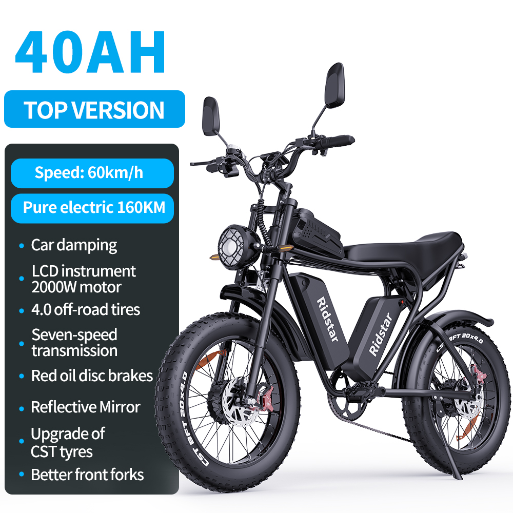 Ridstar Dual Motor 2000W 52V 40Ah Removable Battery Mountain BikeMtb Electric Bike for Adults 20" Fat Tire Electric Motorcycle,Full Suspension Electric Bicycle UL2849