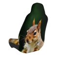 thumbnail image 2 of Balery Squirrels Eating Peanuts On The Tree Funda de Asiento para Auto con Diseño - Cubierta Frontal Suave y Transpirable con Protector Antideslizante- 1 Unidad, 2 of 5