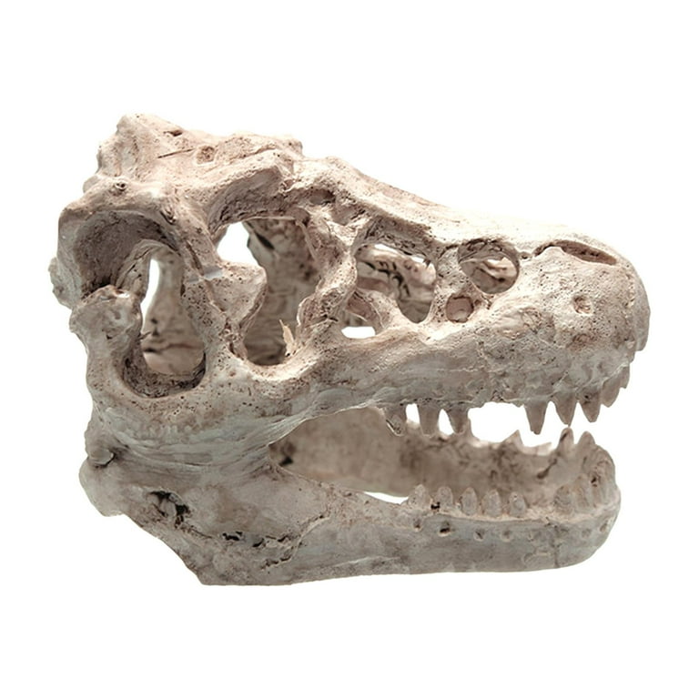 Aquarium Dinosaur Fossil Decoration - Resin Hideout, 6.5x3.1 Inch, For Fish Tanks & Reptiles
