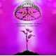 thumbnail image 4 of Luz de crecimiento de plantas YONGSHENG 100 W, 4 of 5