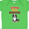 thumbnail image 4 of Inktastic Bernese Mountain Dog Lover Boys or Girls Baby Bodysuit, 4 of 5