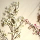 thumbnail image 1 of Decoración de flores de cerezo, flores de cerezo artificiales, 4 ramas de flores artificiales, funcionalidad versátil, 1 of 12