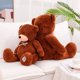thumbnail image 5 of Oso de peluche de alta calidad para niños y niñas, Parche de animales de peluche, almohada, regalo de cumpleaños y Navidad, novedad, 5 of 5