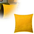 thumbnail image 3 of 1-2PC Velvet Decorative Throw Pillow Covers 20x20 Inch Soft Solid Square Cushion Case for Couch Sofa Bedroom Living Room Home Decor Silky Machine Washable Pillowcases, 3 of 5