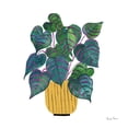 thumbnail image 2 of Zaman, Farida 20x20 Gold Ornate Wood Framed with Double Matting Museum Art Print Titled - Potted Jewels I, 2 of 4