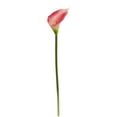 thumbnail image 3 of Nearly Natural 28in. Calla Lily Artificial Flower (Set of 12), Pink, 3 of 3