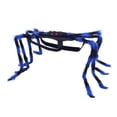thumbnail image 2 of Realistic Halloween Spider Dog Costume Adjustable Self-Adhesive Straps, Funny Dog Halloween Costumes, Halloween Pet Parades Photo Sessions, 2 of 6