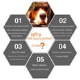 thumbnail image 4 of Producto Ropa calmante para mascotas de tercera generación Chaqueta antiansiedad para perros Ropa anti-sustos para perros irritables, 4 of 5
