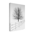 thumbnail image 2 of Trademark Fine Art 'Along the Lane III' Canvas Art by Aledanda, 2 of 3