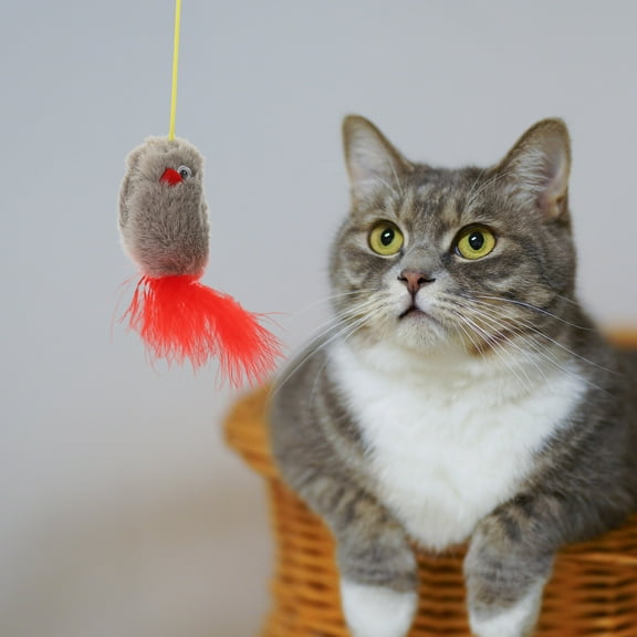 KONTONTY Plush Cat Toys for Indoor Cats - Assorted Playing Set, 1 Piece