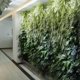 thumbnail image 2 of Pared Verde 18 Bolsillos Plantación Bolsillo Vertical Jardinera de Pared Jardín Balcón Planta Crecer CACAGOO Bolsa de cultivo, 2 of 7