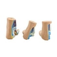 thumbnail image 4 of Human Foot Anatomy Model with Digital Signs, Normal/Flat/High Arched Foot Anatomy Model for Medical Teaching, 4 of 14