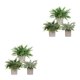 thumbnail image 3 of Matsuzay 3 unids/set belleza de la naturaleza en interiores con pequeñas plantas artificiales de eucalipto decoración del hogar de bajo TZ055 2Conjunto, 3 of 6
