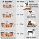 thumbnail image 2 of Plato para Mascotas Loving Pets champán metálico 3 Cuartos de Galón, 2 of 5