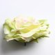 thumbnail image 4 of 2x 10 Unidades de Seda Peonía Cabeza de Flor Flores Artificiales Hechas a Mano Diy Boda Decoración Del Hogar Artesanía Festiva Y Suministros de Fiesta SM SunniMix cabeza de flor, 4 of 8