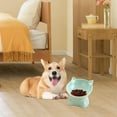 thumbnail image 6 of Raised Cat Bowl Pet Feeding Dish Lightweight Dog Bowl Protection Cervical Tilted Pet Feeder Elevated Cat Food Bowl for Small Medium Dogs Green, 6 of 9