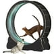 thumbnail image 1 of Accessories for Cats Cat Wheel Cat Exercise Wheel for Indoor Cat Pulsive and Training Toys Supplies Pet Products Home Garden ShopWise Round, 1 of 7