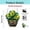 A, variant on St Patricks Day Decorations Imitation 2D Acrylic Disc Pendant Window Decoration Porch Chain Tag Outdoor Decoration
