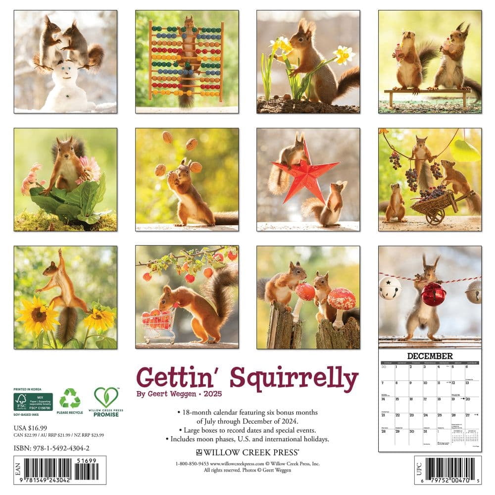 2026 Willow Creek Press Monthly Mini Wall Calendar 7 X 7 Gettin Squirrelly January To December - View #3