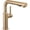 Champagne Bronze, variant on Delta 16879-DST Daneri 1.8 GPM Single Handle Pull Out Kitchen Faucet - Chrome