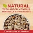 thumbnail image 3 of Purina ONE Natural Wet Dog Food, High Protein Soft Beef & Barley, 13 oz Can, 3 of 10