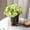 04, variant on Metal Plant Stand Plant Stands for Indoor Outdoor Plants - Multiple Heavy Duty Flower Pot Stand Holder Rustproof Iron Round Plant Shelf for Planter Outdoor Plant Stand for Patio Garden Home Decor