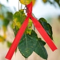 thumbnail image 4 of CIMAXIC Wedding 100pcs Red Fabric Ribbon Thick Chinese New Year Decoration Red Silky Wishing Ribbon For Spring Festival Present Wrapping Wedding Party Decorations,33.86"X1.57"(LxW), 4 of 4
