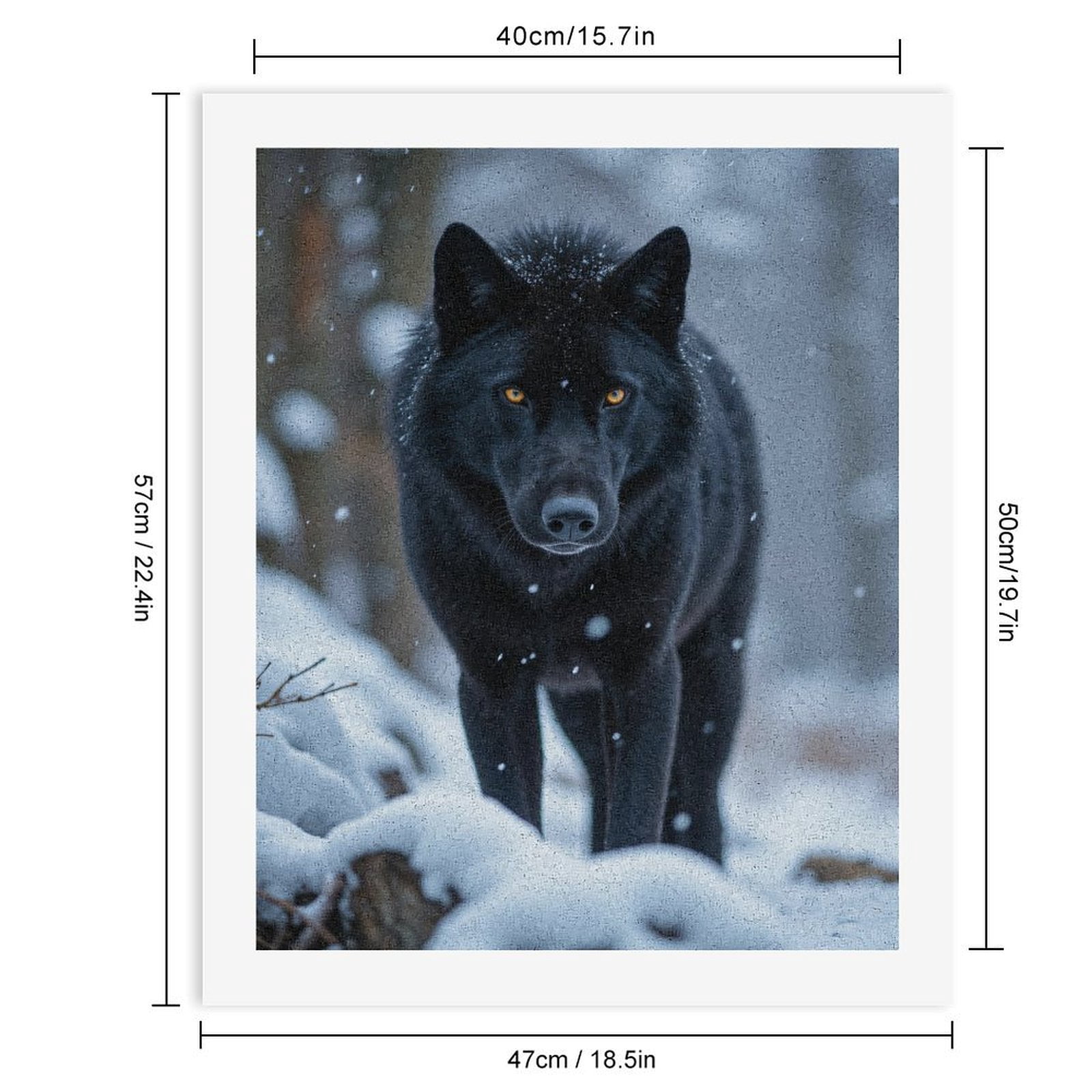 Paint by Numbers Kit for Adults, Snowy Black Wolf Gaze Paint by Numbers, Easy Paint by Numbers Kit for Adults Beginner, DIY Adult Paint by Number Kits on Canvas, Home Decor
