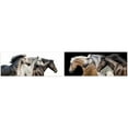thumbnail image 1 of Empire Art Direct Trilogy 1 & 2 Frameless Free Floating Tempered Glass Panel Graphic Wall Art, 24" x 63" each, Ready to Hang, 1 of 8