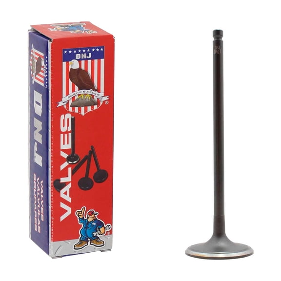 DNJ IV627 Intake Valve Fits Cars & Trucks 09-11 Nissan Versa 1.6L L4 DOHC 16v