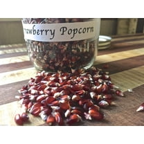 Strawberry Popcorn Corn Seeds - Grow Your own popcorn-Ornamental and Edible.(100 Seeds)
