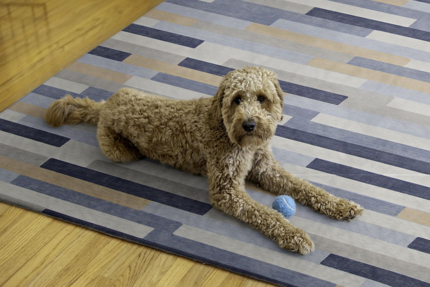 Outdoor Washable Miami Ivory & Blue 7' x 9' Area Rug