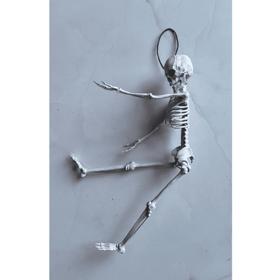 POSEABLE FULL LIFE HUMAN SKELETON HALLOWEEN HAUNTED HOUSE PARTY PROP-40CM C