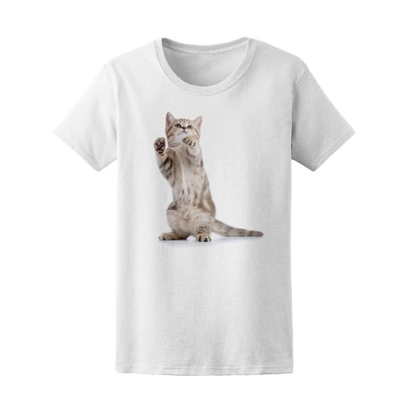 Cute Scottish Kitty, Cat Lovers T-Shirt Women -Image by Shutterstock, Female Small