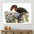 thumbnail image 3 of Designart 'Ancient Australian Birds XI' Traditional Framed Art Print, 3 of 4