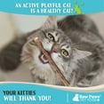 thumbnail image 3 of Raw Paws Silvervine Cat Chew Sticks (30-ct) Silvervine Cat Toys for Indoor Cats - Matatabi Cat Chew Sticks - Silvervine Sticks for Cats of all Ages, Breeds and Sizes, 3 of 5