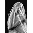 thumbnail image 2 of Dixon, Colin 23x32 White Modern Wood Framed Museum Art Print Titled - Life Behind The Veil, 2 of 4
