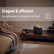 Stadler Form Ben humidifier and aroma diffuser, ultrasonic nebuliser for rooms of up to 270 sq. ft., incl. open fire effect, black