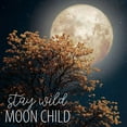 thumbnail image 2 of Allen, Kimberly 26x26 White Modern Wood Framed Museum Art Print Titled - Stay Wild Moon Child, 2 of 4