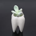 thumbnail image 3 of Sinyiin Tooth Shape Ceramic Flower Pot Green Succulent Planter Cactus Container Decor, 3 of 9