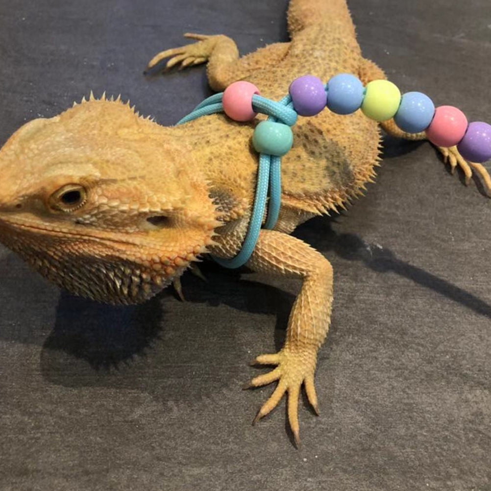 IMIKEYA 1Pc Practical Reptiles Harness Rope Sky Blue with Extended Activity Range