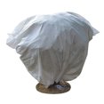 thumbnail image 1 of Plant Cover Frost-proof Freeze-proof Animals-proof Reusable Garden Winter Protection, 1 of 6